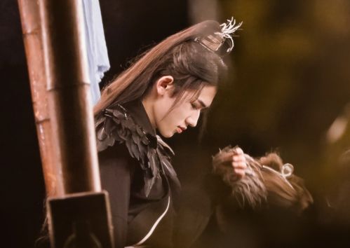 古代男子一字名字轩如何嫩赋予一个翩翩少年独特的气质与风采？