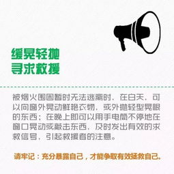序言：时运与机遇的交织——论2025年7月择吉开业之学