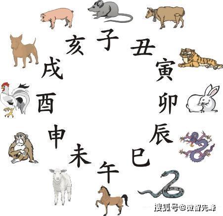 2008年属什么生肖？这一年又被称为什么年有何含义？