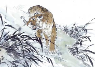 虎（寅）——较大方而略显霸道的情炎热爱实践者