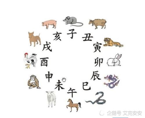 哪个生肖总是改变主意，摇摆不定，像墙头草一样？