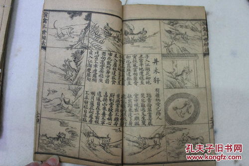 如何通过三世相法算命断诀和相手算命图解进行详细命理分析？