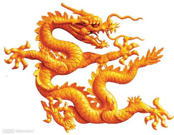 1988年属龙的人目前事业财运状况如何？