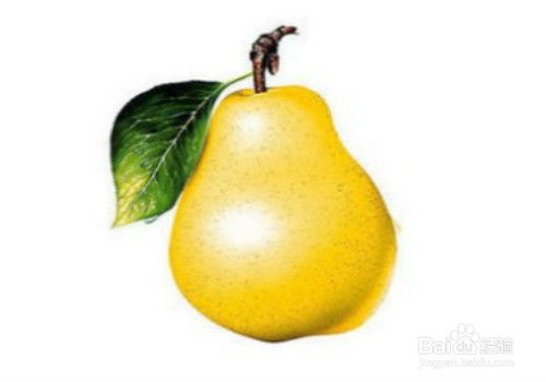 震惊！女人梦见摘梨竟暗藏这些惊天秘密