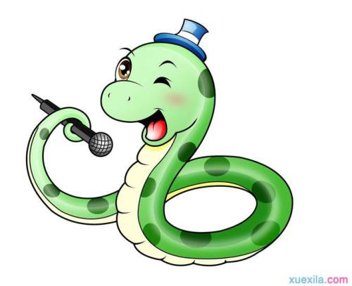 2026年属蛇每月感情运势具体是怎样的？