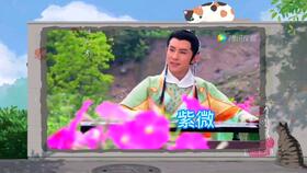 3) 天机星：深藏不露的智者群体