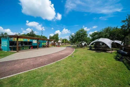 太阳岛？不就是个老年活动中心plus版？