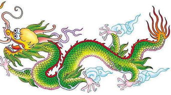 1988年属龙的人，其龙属的五行属性是什么？