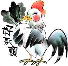 2023年属相女婚姻状况及12生肖最佳姻缘配对是什么？