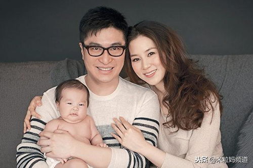 案例佐证：谢霆锋事件及港台艺人偏好