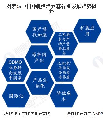 四、 专业性与技术壁垒：对盲目尝试的严厉警示