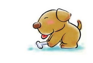 属狗人五月六日运势如何？具体运势分析是什么？