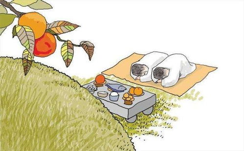 时间选择的灵活性：传统习惯与现实需求