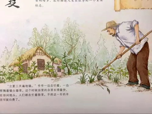 农事活动的安排与指导原则