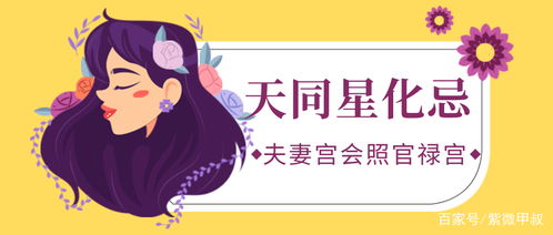 一、 天同星同坐子午父母宫之综合解析