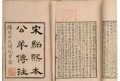 论博罗之子，及改名之道（且听我瞎说！）