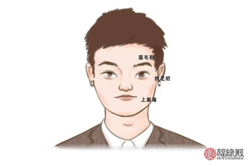 1. 辅犀骨之男 VS 田字脸之女