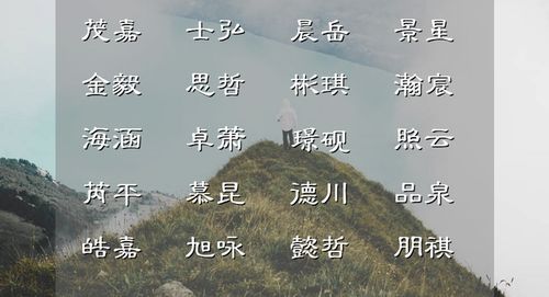 雨润春苗：生机与希望的命名之道