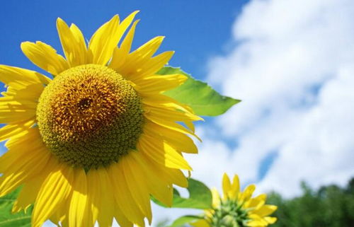 卧室镜子放置在哪些位置最旺财？