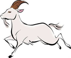 2026年属羊人的运势运程具体如何？