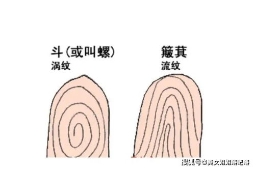 传统方式相学视角下的性格互补论证