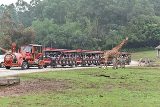 公共交通：经济但耗时的选择