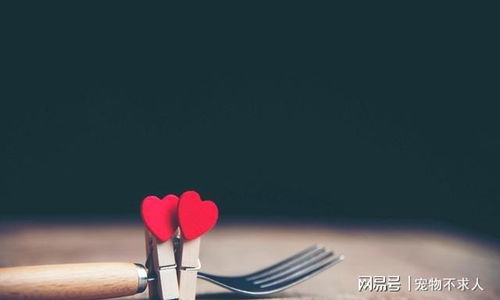 穷命人的命格究竟是怎样的？命运是否真的无法改变？