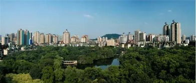 重庆木鱼石物业发展有限公司的企业背景剖析