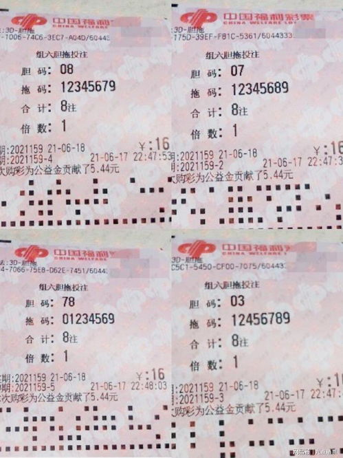 ：对数字游戏规律性探索的学术审视