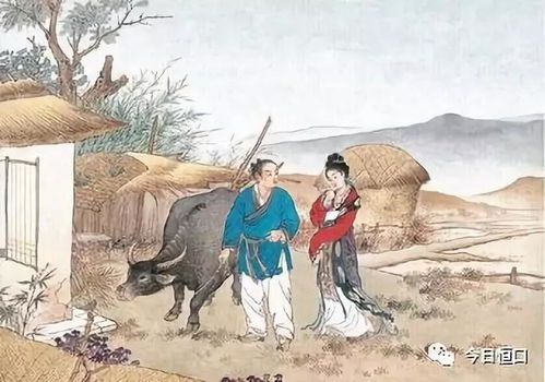 织女泪， 牛郎魂，银河桥断夜哭声——一篇关于七夕节的国学风水解析