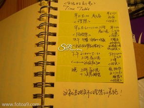 名字测试真的能预示命运吗？