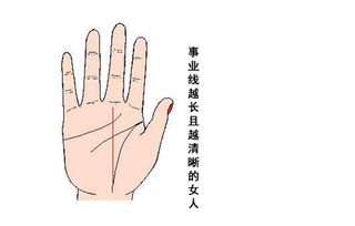 二、 婚姻线与情感纠葛：掌纹对婚姻的影响