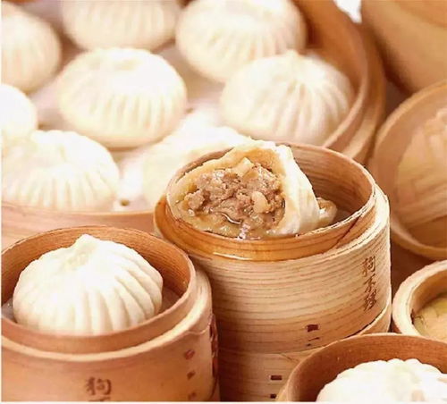 狗不理包子名称由来的历史持续发展考证与文化底蕴内涵解析
