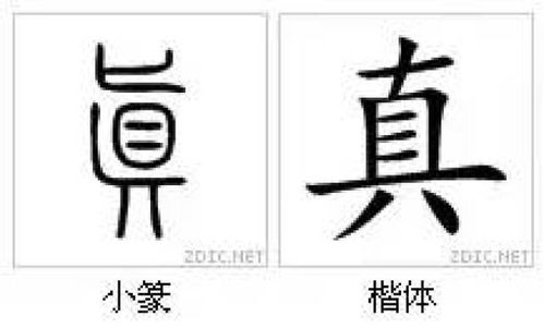 如何挑选寓意美好的糖字作为名字？