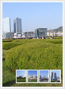 一、 交通：一场史诗级噩梦