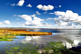 重头戏来了：花湖景区门票价格到底是多少？