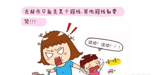 1.1 感官敏感期与认知反馈的耦合