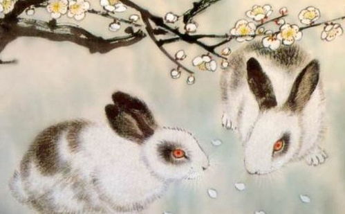 1987年属兔的女射手性格特点及一生运势究竟有何独特之处？