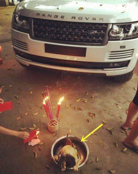 6月份买新车祭车，有哪些黄道吉日适合祭车？