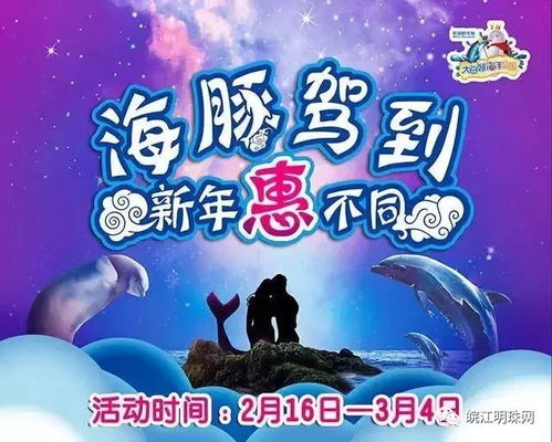 四、  春节特惠与属虎人的尴尬往事