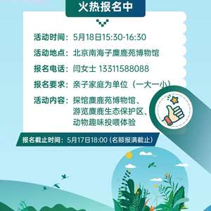 # 活动时间段 #