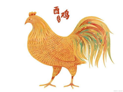 2026年55岁属鸡女性运势如何，今日运势怎样？