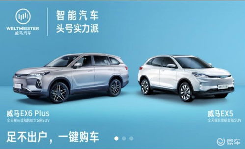 生肖与车辆契合度：提升购车体验的关键因素