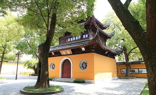 寺庙奇遇记之乌龟成精事件