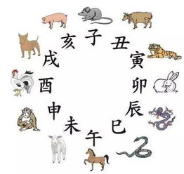 2026年属猴人的财富运势具体表现是怎样的？