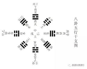 震宫——戊子水遇卯木引起之胃胆等病症