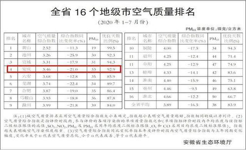 四、 综合评估及建议