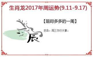 十二生肖9月11日和11月财运分别如何？