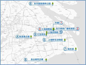 那些让人头秃的交通方式