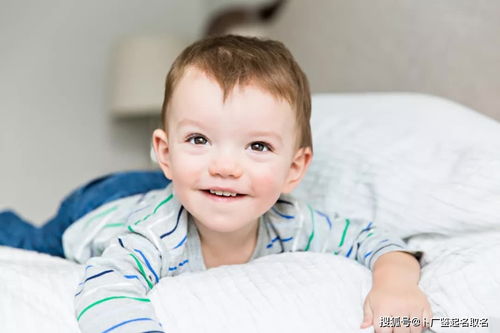 三、 口碑实测——网友真实反馈（含一点点噪音）